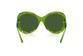 Achteraanzicht Swarovski SK6052 (108971)