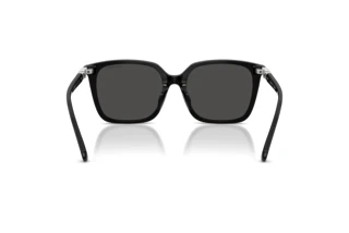 Achteraanzicht Swarovski SK6053D (103887)