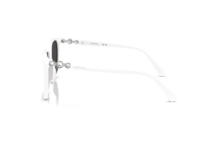 Zijaanzicht Swarovski SK6053D (105087)