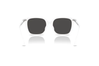 Achteraanzicht Swarovski SK6053D (105087)