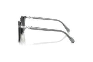 Zijaanzicht Swarovski SK6053D (106211)