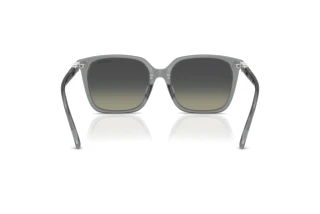 Achteraanzicht Swarovski SK6053D (106211)