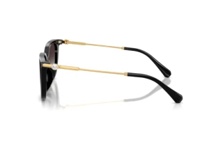Zijaanzicht Swarovski SK6054D (10018G)