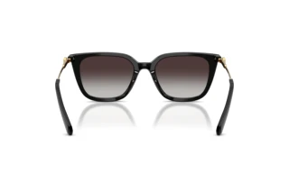 Achteraanzicht Swarovski SK6054D (10018G)