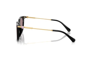 Zijaanzicht Swarovski SK6054D (1001LA)