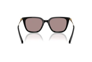 Achteraanzicht Swarovski SK6054D (1001LA)