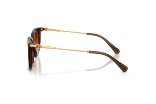 Zijaanzicht Swarovski SK6054D (108474)