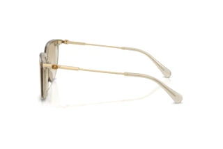 Zijaanzicht Swarovski SK6054D (300311)