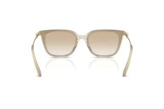 Achteraanzicht Swarovski SK6054D (300311)