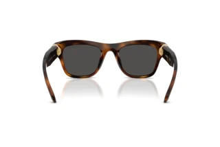 Achteraanzicht Swarovski SK6056U (100287)