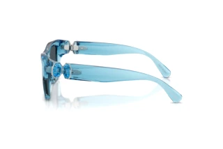Zijaanzicht Swarovski SK6056U (107887)