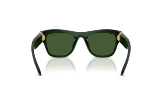 Achteraanzicht Swarovski SK6056U (108171)