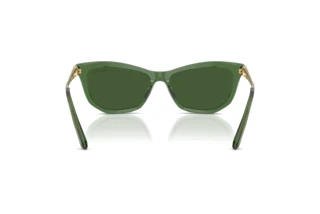 Achteraanzicht Swarovski SK6057 (108571)