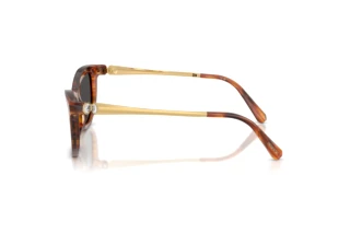 Zijaanzicht Swarovski SK6057 (109187)