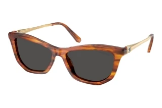 Vooraanzicht Swarovski SK6057 (109187)