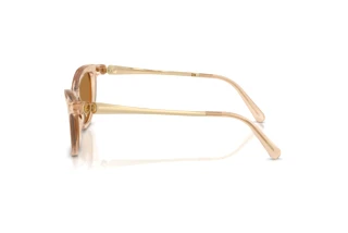Zijaanzicht Swarovski SK6057 (109273)