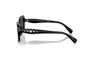 Zijaanzicht Swarovski SK6058U (100187)