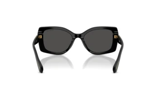 Achteraanzicht Swarovski SK6058U (100187)