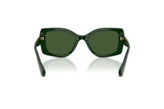 Achteraanzicht Swarovski SK6058U (102671)