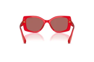 Achteraanzicht Swarovski SK6058U (110369)