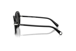 Zijaanzicht Swarovski SK6059 (103887)