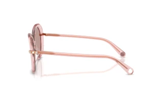Zijaanzicht Swarovski SK6059 (10977N)