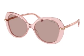 Vooraanzicht Swarovski SK6059 (10977N)