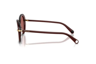 Zijaanzicht Swarovski SK6059 (109869)