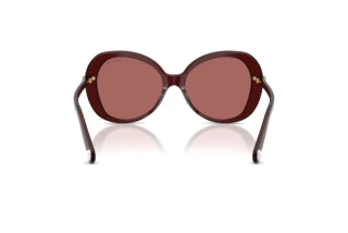 Achteraanzicht Swarovski SK6059 (109869)
