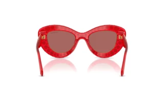 Achteraanzicht Swarovski SK6060 (110369)