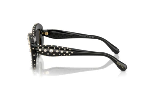 Zijaanzicht Swarovski SK6060 (110487)