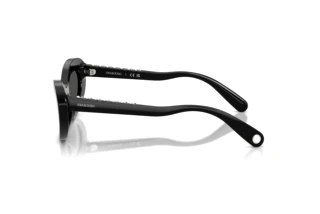Zijaanzicht Swarovski SK6061U (100187)