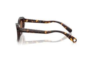 Zijaanzicht Swarovski SK6061U (100273)