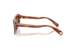 Zijaanzicht Swarovski SK6061U (109173)