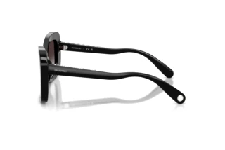 Zijaanzicht Swarovski SK6062U (10018G)