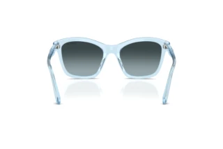 Achteraanzicht Swarovski SK6063 (1078V1)