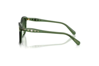 Zijaanzicht Swarovski SK6063 (10852A)