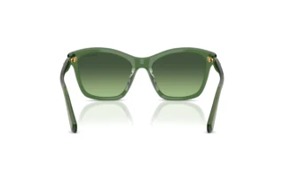 Achteraanzicht Swarovski SK6063 (10852A)