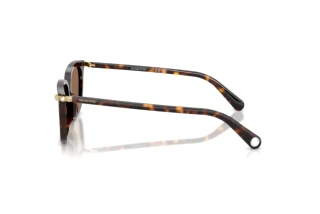 Zijaanzicht Swarovski SK6064D (100273)