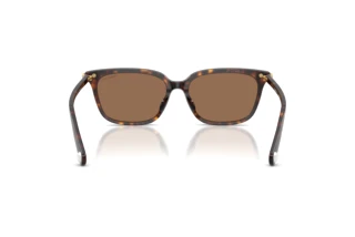 Achteraanzicht Swarovski SK6064D (100273)