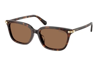 Vooraanzicht Swarovski SK6064D (100273)