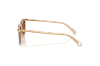 Zijaanzicht Swarovski SK6064D (1034OK)