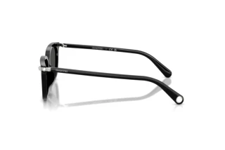 Zijaanzicht Swarovski SK6064D (103887)