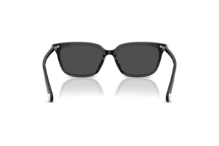 Achteraanzicht Swarovski SK6064D (103887)