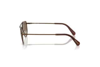 Zijaanzicht Swarovski SK7007 (401673)