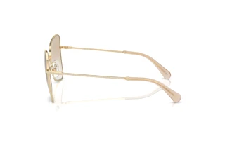 Zijaanzicht Swarovski SK7008 (401311)