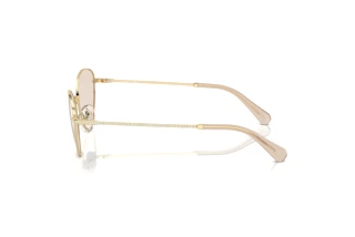 Zijaanzicht Swarovski SK7014 (4013M4)