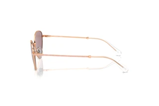 Zijaanzicht Swarovski SK7014 (40147N)