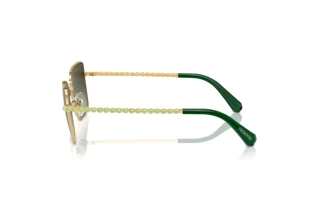 Zijaanzicht Swarovski SK7015 (4004E8)