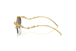 Zijaanzicht Swarovski SK7016 (40047P)